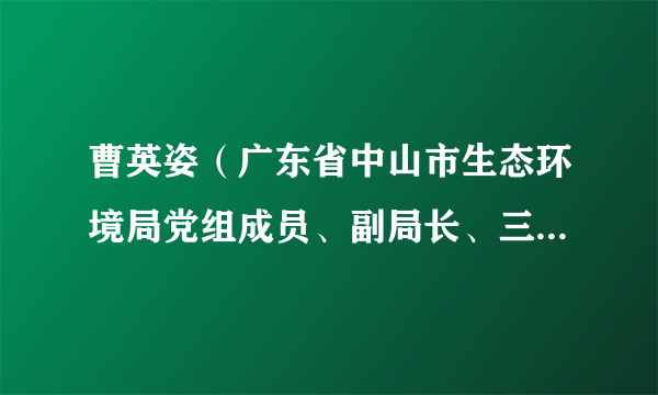 曹英姿（广东省中山市生态环境局党组成员、副局长、三级调研员）