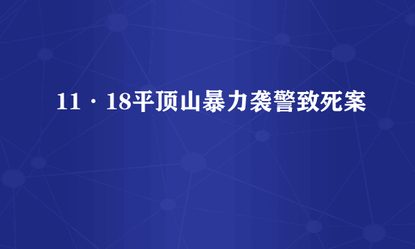 11·18平顶山暴力袭警致死案