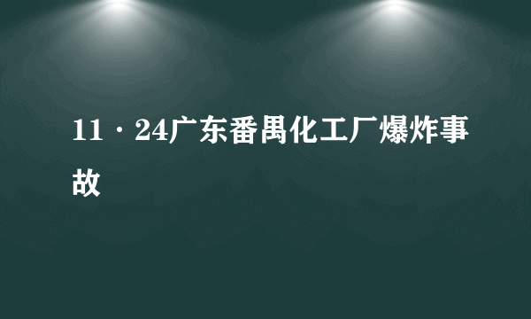 11·24广东番禺化工厂爆炸事故