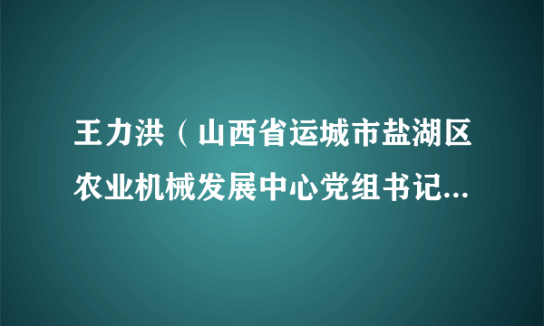 王力洪（山西省运城市盐湖区农业机械发展中心党组书记、主任）