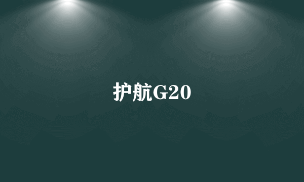 护航G20