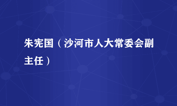 朱宪国（沙河市人大常委会副主任）