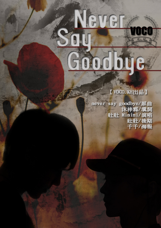 never say goodbye（海莉·韦斯特娜演唱歌曲）