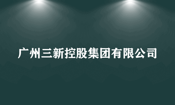 广州三新控股集团有限公司