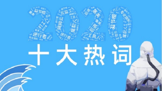 2020十大网络热词