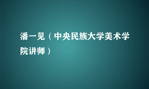 潘一见（中央民族大学美术学院讲师）