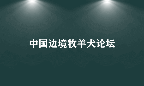 中国边境牧羊犬论坛