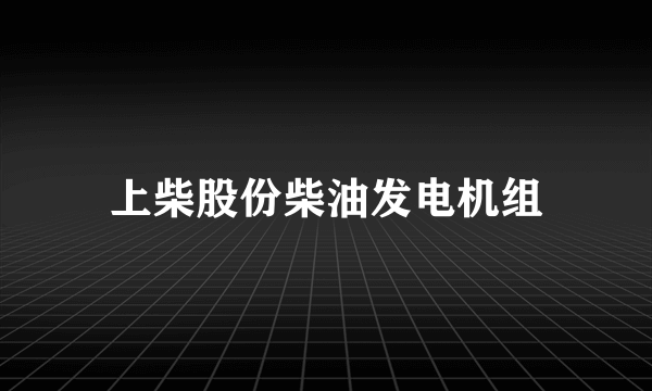 上柴股份柴油发电机组