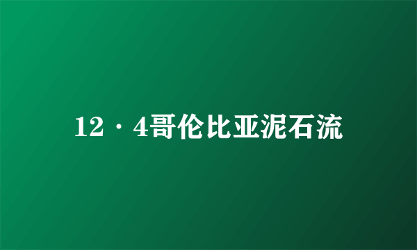 12·4哥伦比亚泥石流