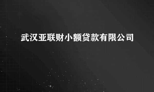 武汉亚联财小额贷款有限公司