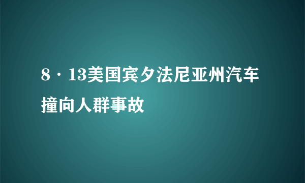 8·13美国宾夕法尼亚州汽车撞向人群事故