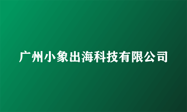 广州小象出海科技有限公司