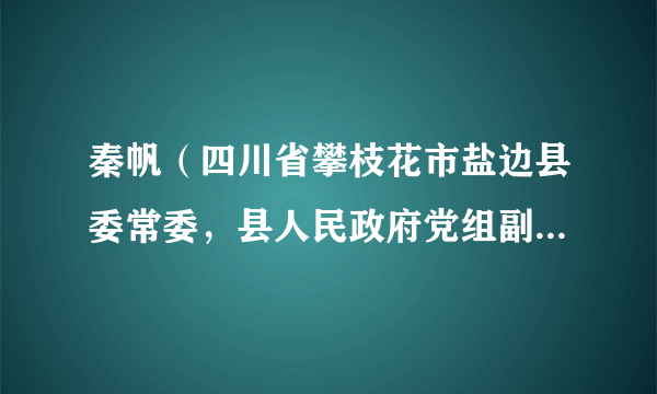 秦帆（四川省攀枝花市盐边县委常委，县人民政府党组副书记、常务副县长，盐边行政学校校长（兼））