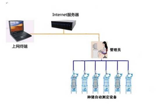 种猪测定系统