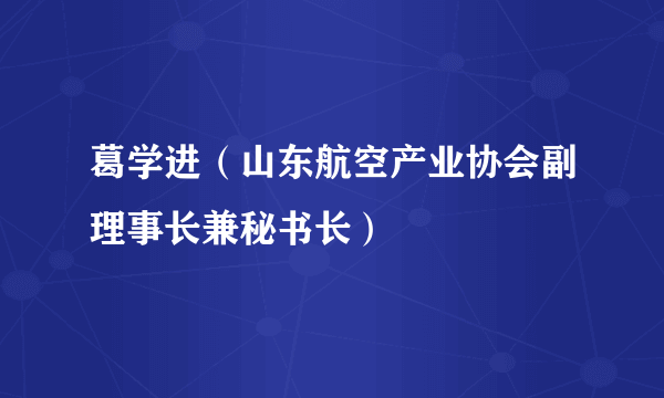 葛学进（山东航空产业协会副理事长兼秘书长）