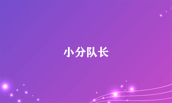 小分队长