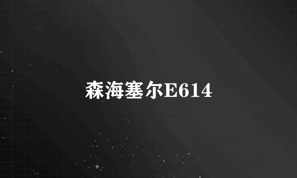 森海塞尔E614