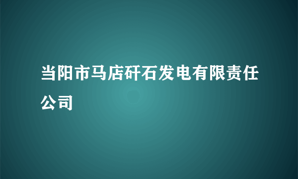 当阳市马店矸石发电有限责任公司