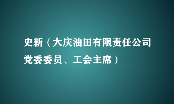 史新（大庆油田有限责任公司党委委员、工会主席）