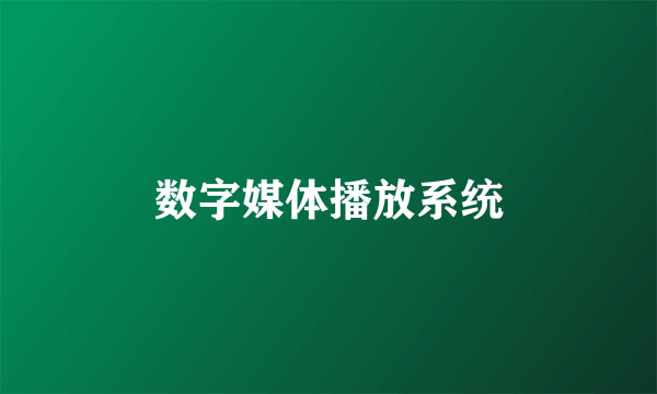 数字媒体播放系统