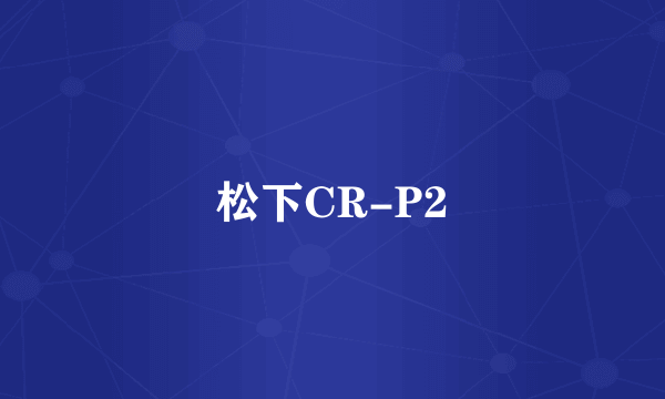 松下CR-P2