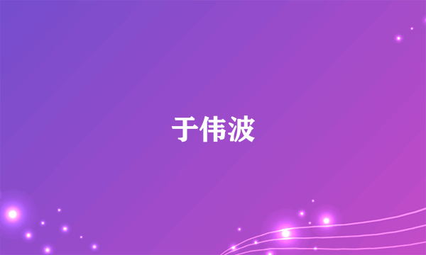 于伟波