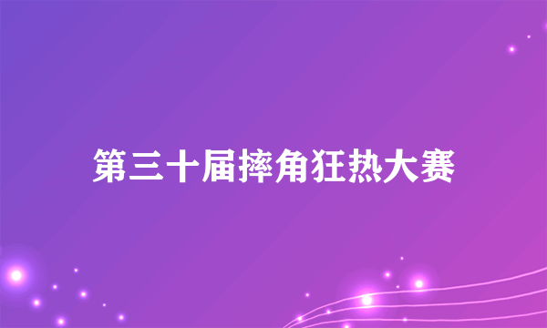 第三十届摔角狂热大赛