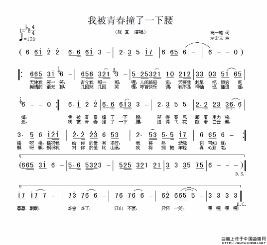 我被青春撞了一下腰（张真演唱歌曲）