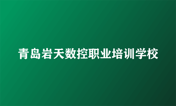 青岛岩天数控职业培训学校