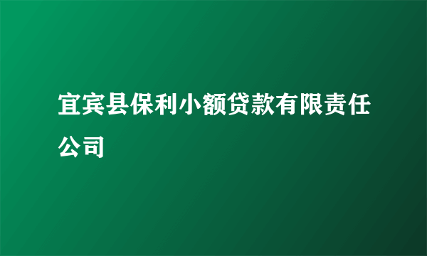 宜宾县保利小额贷款有限责任公司