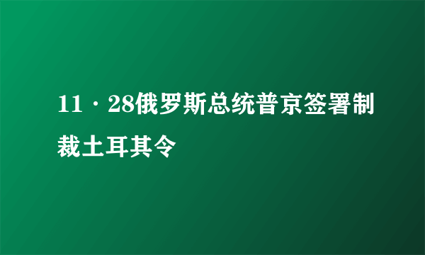 11·28俄罗斯总统普京签署制裁土耳其令