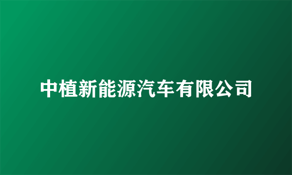 中植新能源汽车有限公司