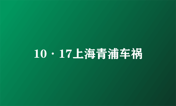 10·17上海青浦车祸