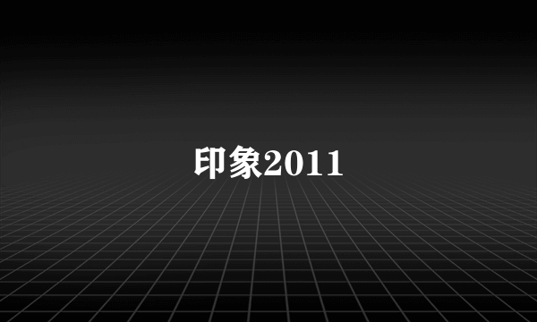 印象2011