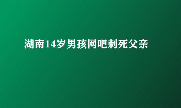 湖南14岁男孩网吧刺死父亲