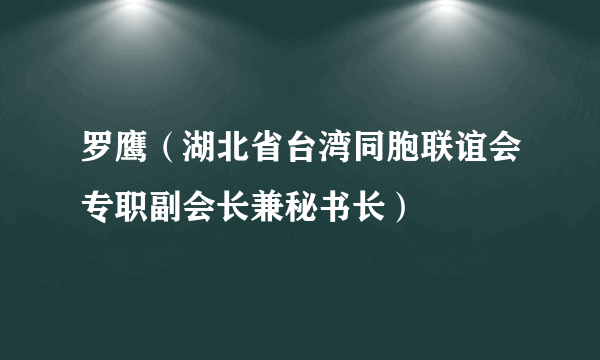 罗鹰（湖北省台湾同胞联谊会专职副会长兼秘书长）