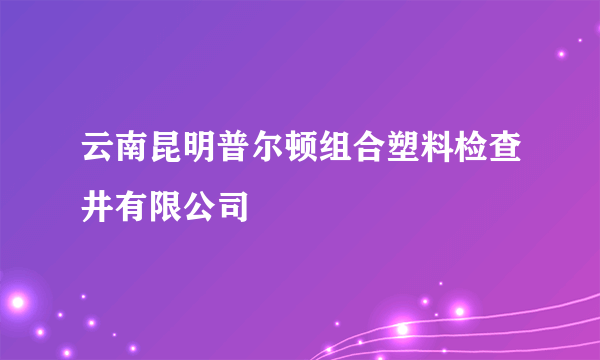 云南昆明普尔顿组合塑料检查井有限公司