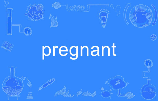 pregnant（英文单词）