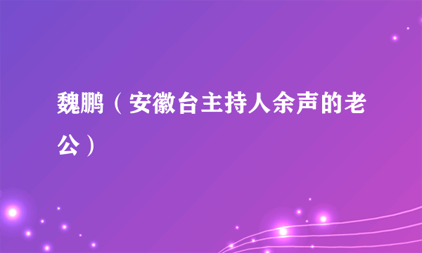 魏鹏（安徽台主持人余声的老公）