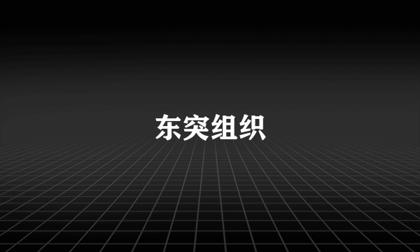 东突组织