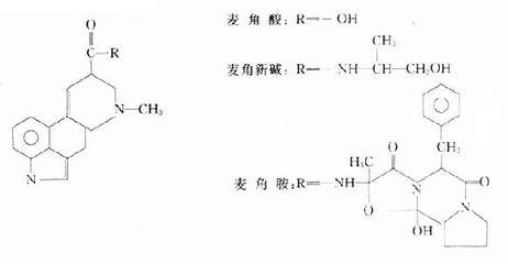 麦角制剂