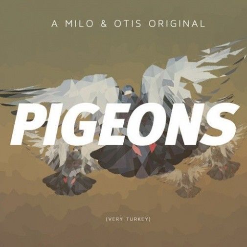 Pigeons