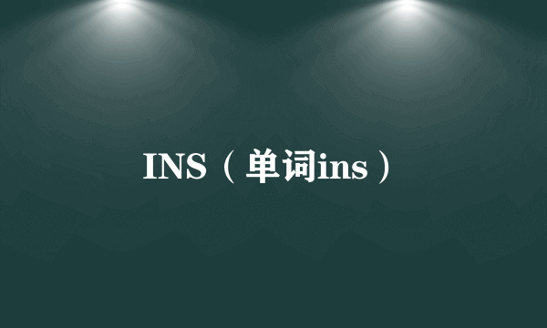 INS（单词ins）