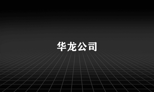 华龙公司