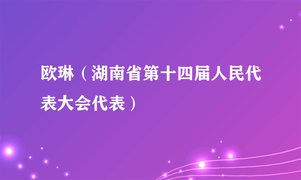 欧琳（湖南省第十四届人民代表大会代表）