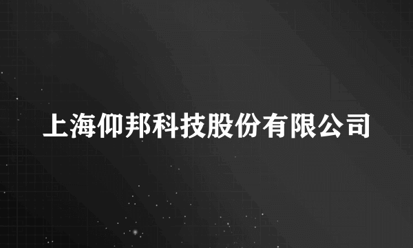 上海仰邦科技股份有限公司