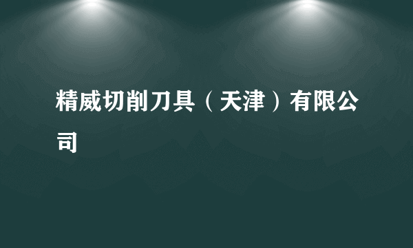 精威切削刀具（天津）有限公司