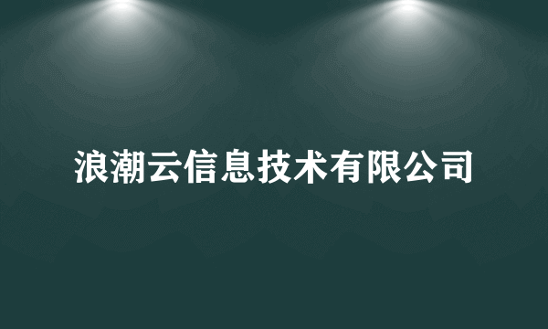 浪潮云信息技术有限公司