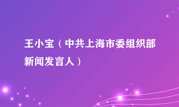 王小宝（中共上海市委组织部新闻发言人）