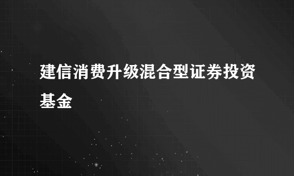 建信消费升级混合型证券投资基金